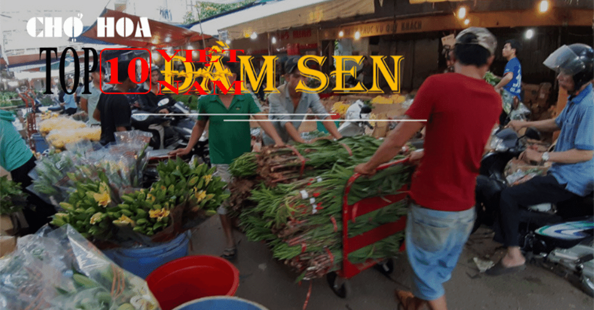 Chợ Đầu Mối Đầm Sen