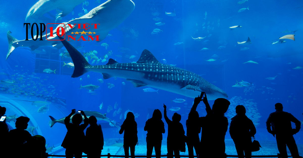 Viện Hải Dương Học Nha Trang