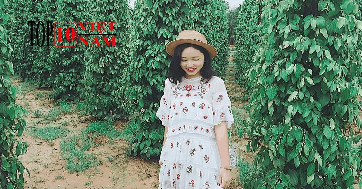 Cảnh Đẹp Phú Quốc-Vườn Tiêu