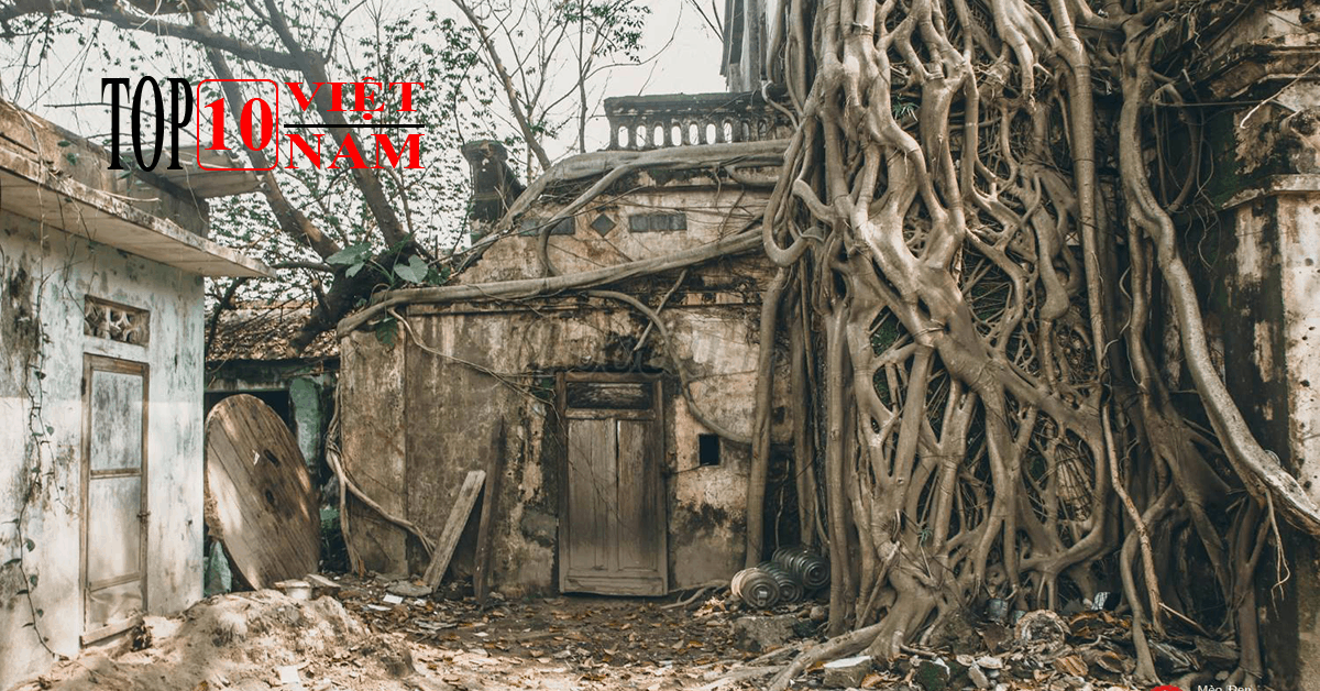 Biệt Phủ Bỏ Hoang