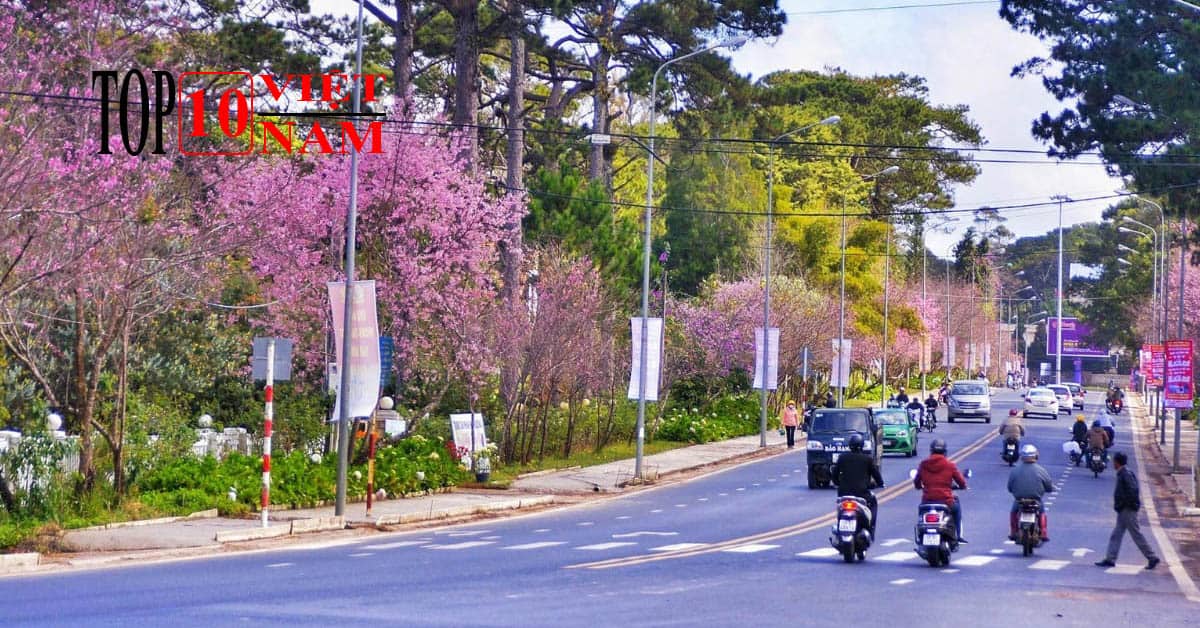 Đường Trần Hưng Đạo - Đà Lạt