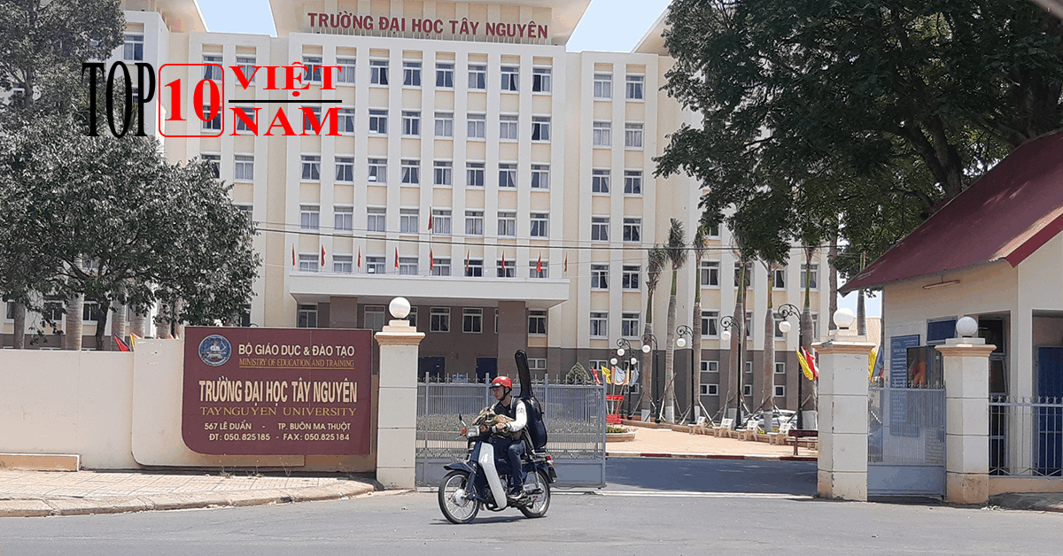 Trường Đại Học Tây Nguyên