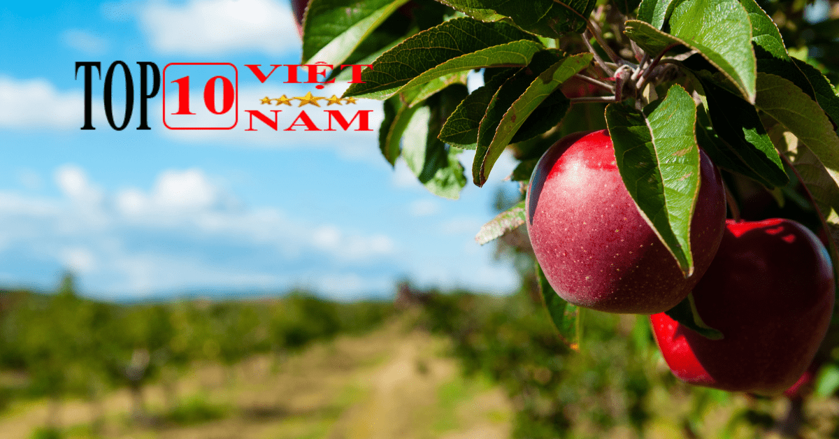 Giảm nguy cơ bị đột quỵ và tiểu đường