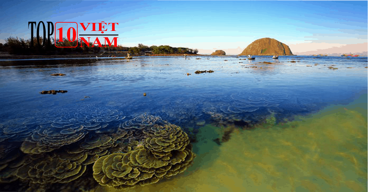 Hòn Yến Phú Yên 