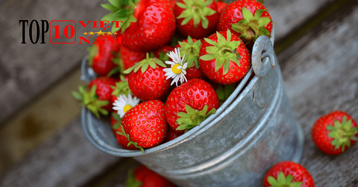 LỢI ÍCH CỦA DÂU TÂY