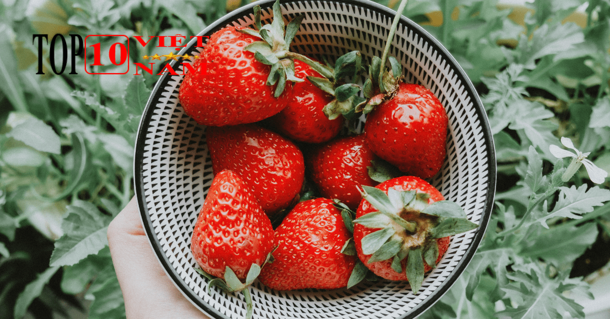 Phòng Chống Ung Thư