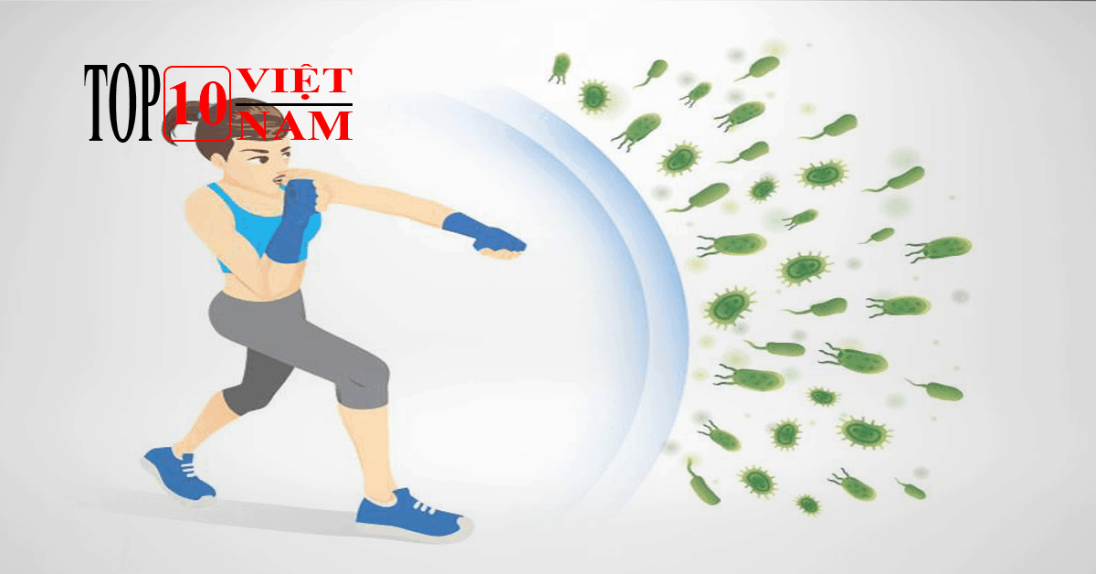 Tăng Cường Hệ Miễn Dịch-lợi ích của việc tập thể dục