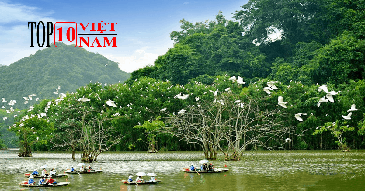 Vườn Chim Thung Nham