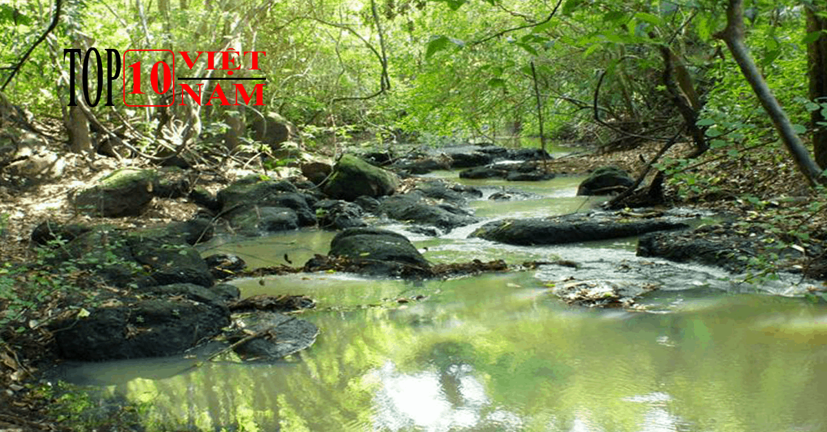  Du Lịch Vườn Quốc Gia Lò Gò – Xa Mát Ở Tây Ninh