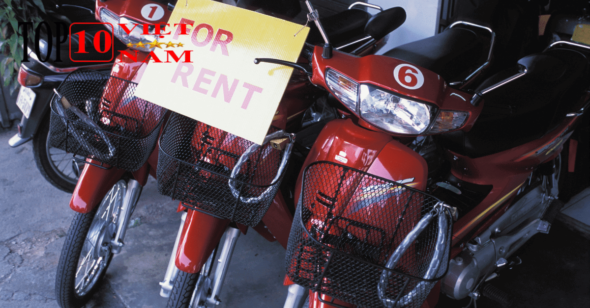 Cho Thuê Ô Tô Tự Lái Địa Chỉ Ở Đà Lạt – Mr Thiên