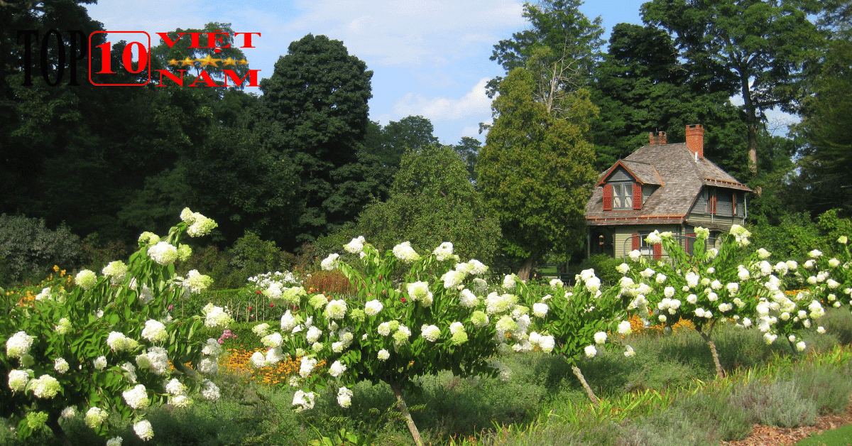 Các Khu Miệt Vườn Tại Cần Thơ