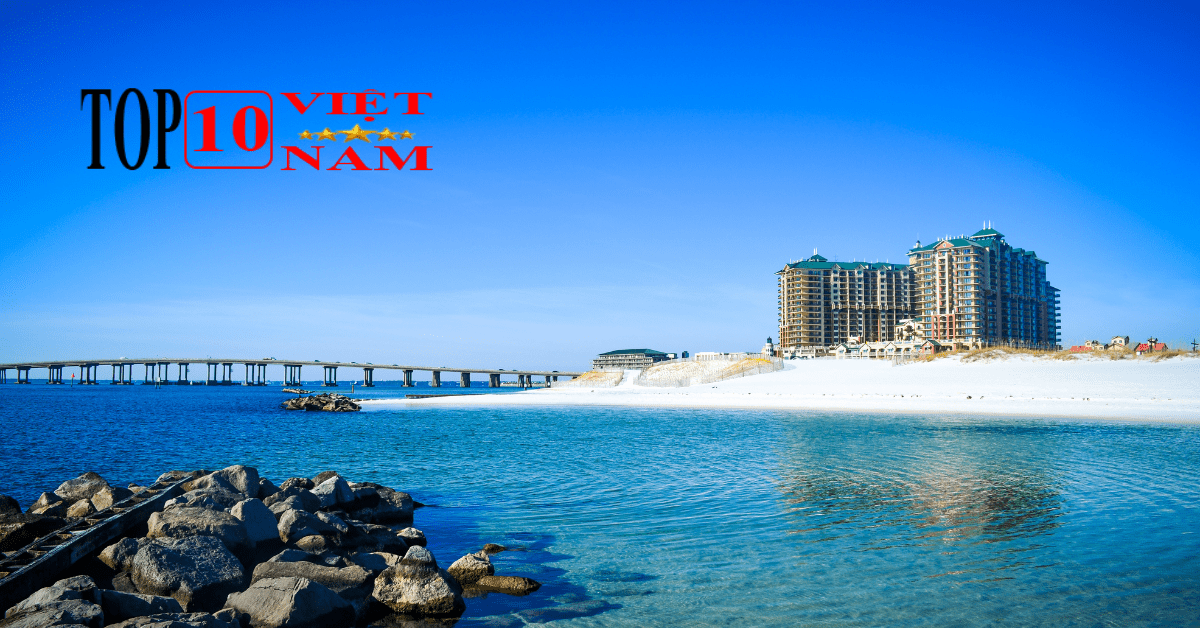 Khu Du Lịch Sinh Thái Cồn Vành