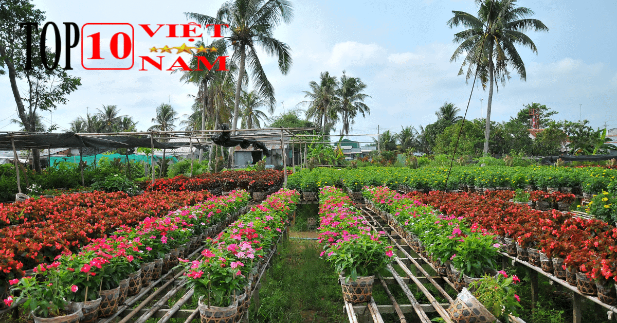 Làng Hoa Kiểu Sa Đéc