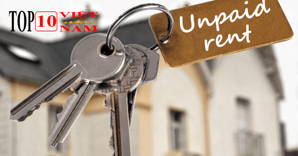 Nguồn Xe Chất Lượng