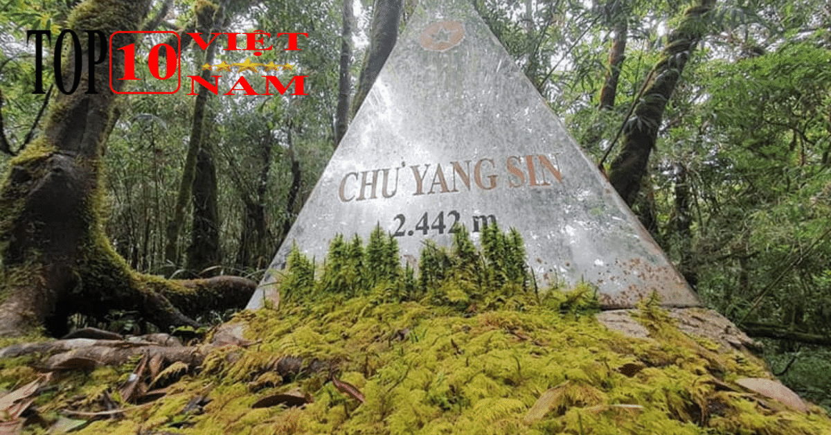 Vườn Quốc Gia Chư Yang Sin