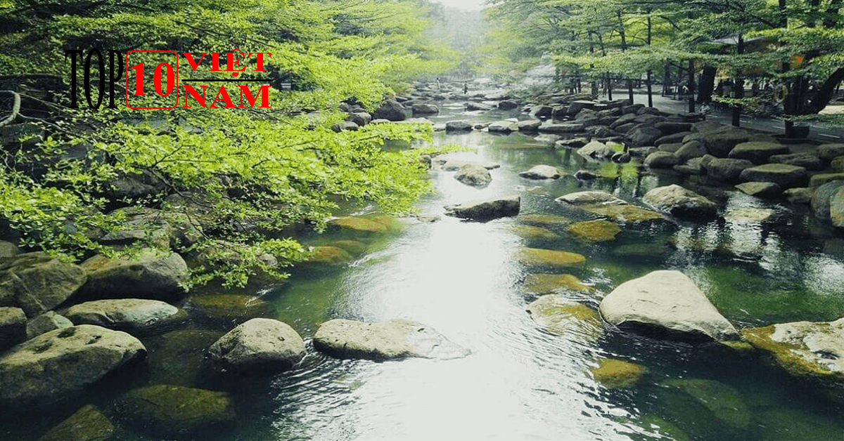 Sinh Thái Thủy Châu – Du Lịch Thiên Nhiên Ở  Bình Dương