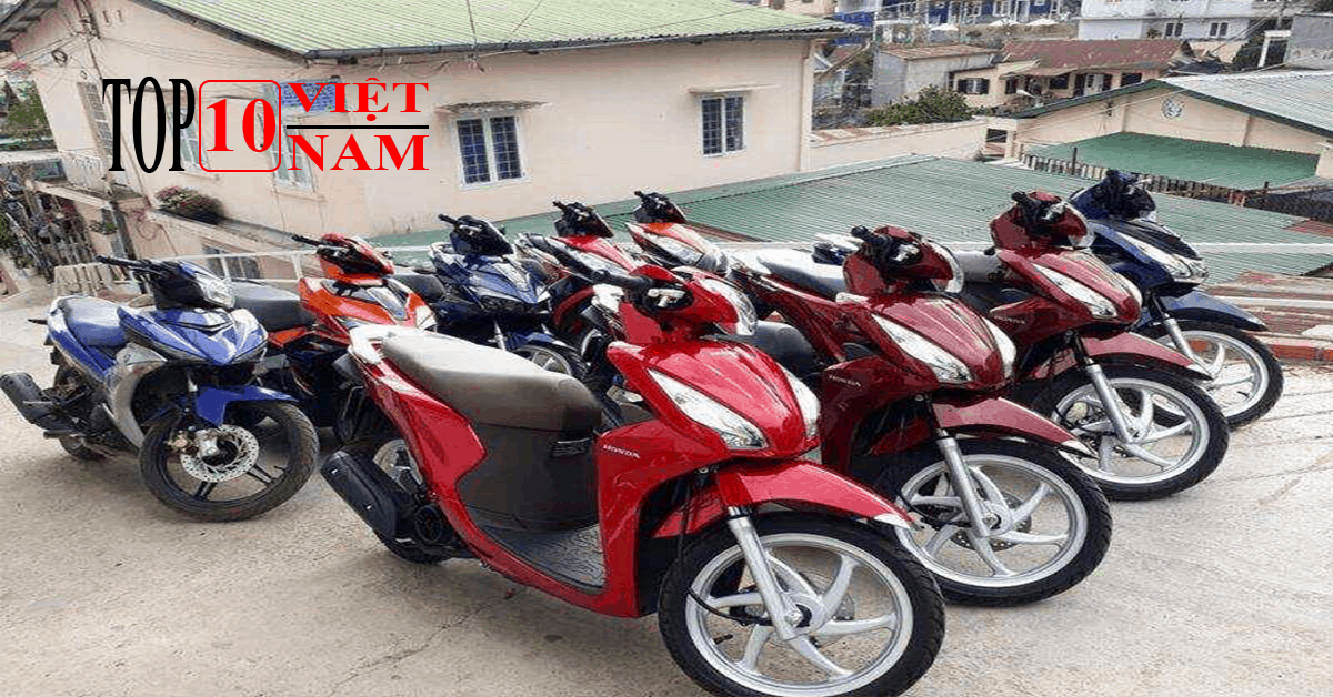 Thuê Xe Giá Rẻ – Chị Hoa