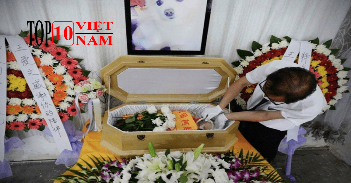 Công ty TNHH Dịch Vụ Mai Táng Cường Phúc Thọ