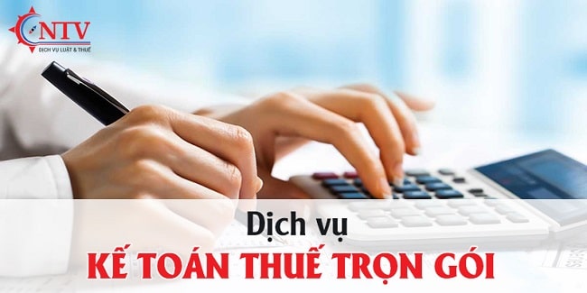 Công ty TNHH Đại Lý Thuế NTVTax - Dịch Vụ Báo Cáo Thuế Tp. HCM