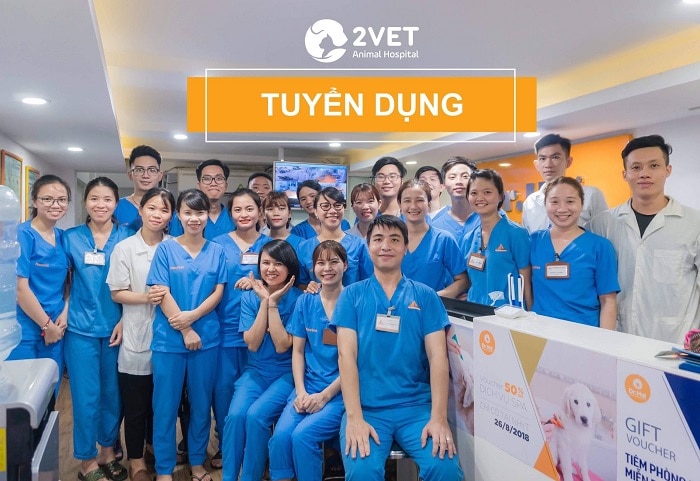 top-10-phong-kham-thu-y-uy-tin-nhat-ha-noi-2vet 2Vet - Phòng Khám Thú y Hà Nội