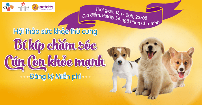 top-10-phong-kham-thu-y-uy-tin-nhat-ha-noi-samiang-viet-nam Bệnh Viện Samyang Animal Clinic