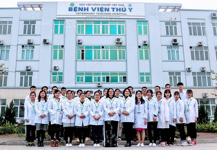 top-10-phong-kham-thu-y-uy-tin-nhat-ha-noi-vet-hopital-vn Bệnh Viện Thú Y, Học Viện Nông Nghiệp Việt Nam