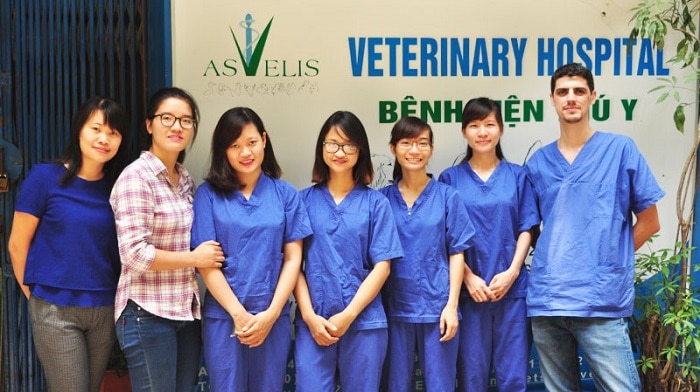 top-10-phong-kham-thu-y-uy-tin-nhat-ha-noi-viet-nam-pet-services Phòng Khám Thú Y Asvelis