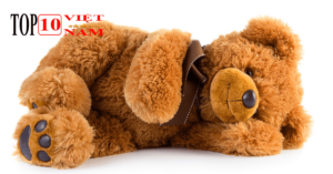 Shop Gấu Bông Ở Hà Nội