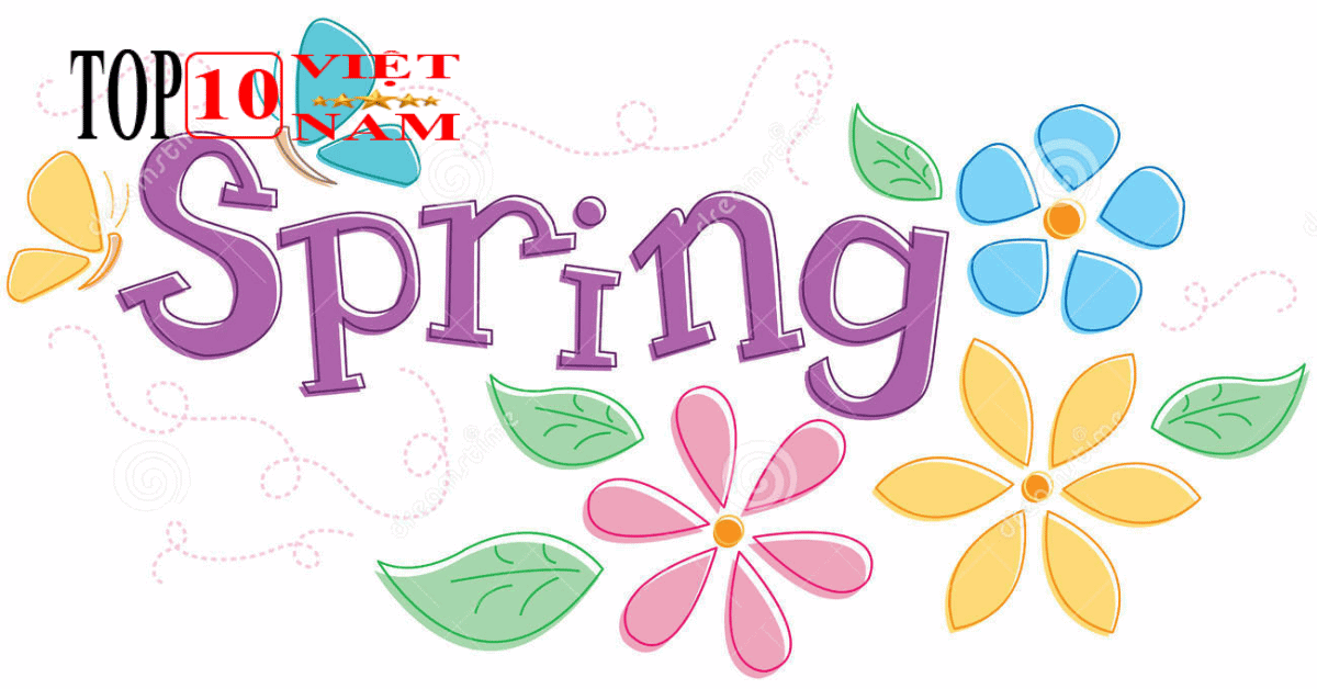 Graphic Spring - Website Thiết Kế Logo Online
