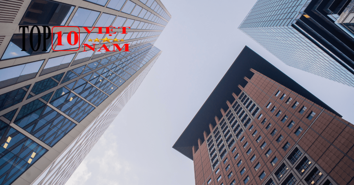 DOL IELTS Đình Lực