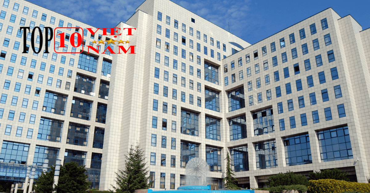 Trung Tâm Luyện Thi IELTS Tp. HCM IEG