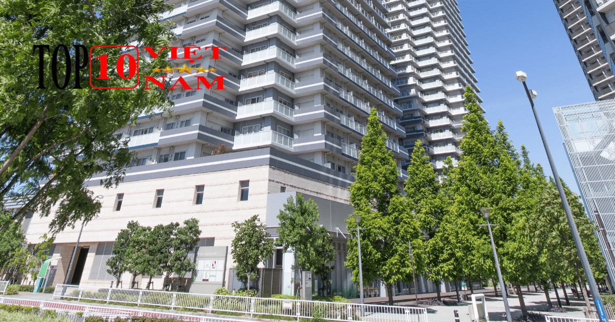 Trung Tâm Luyện Thi IELTS Tp. HCM ILA