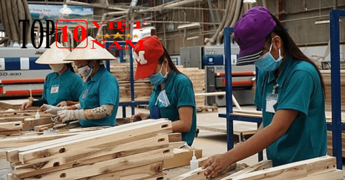 Tổng Công ty Lâm Nghiệp Việt Nam
