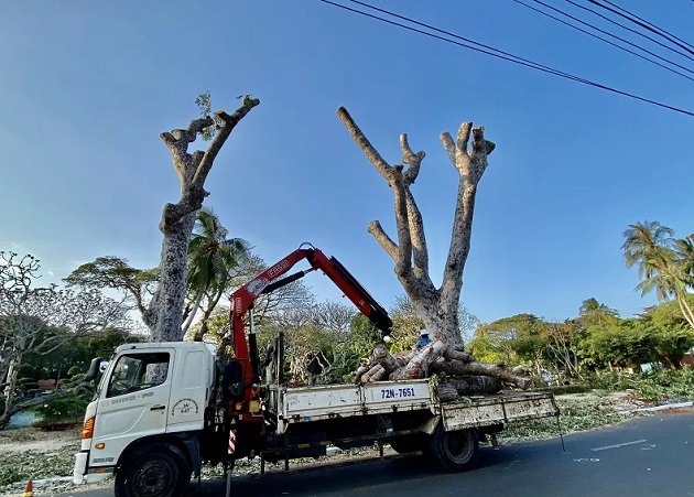 Công ty xây dựng và môi trường Huy Hoàng