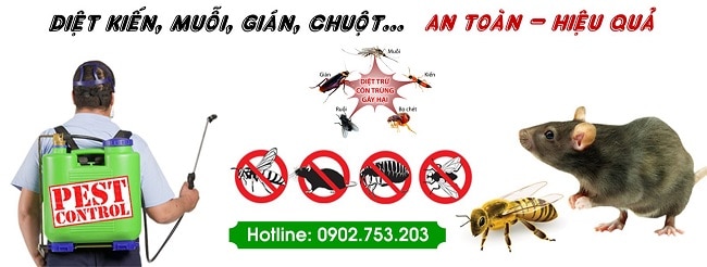 top-cong-ty-diet-gian-tphcm-11 Diệt mối quận 8 Đại toàn việt