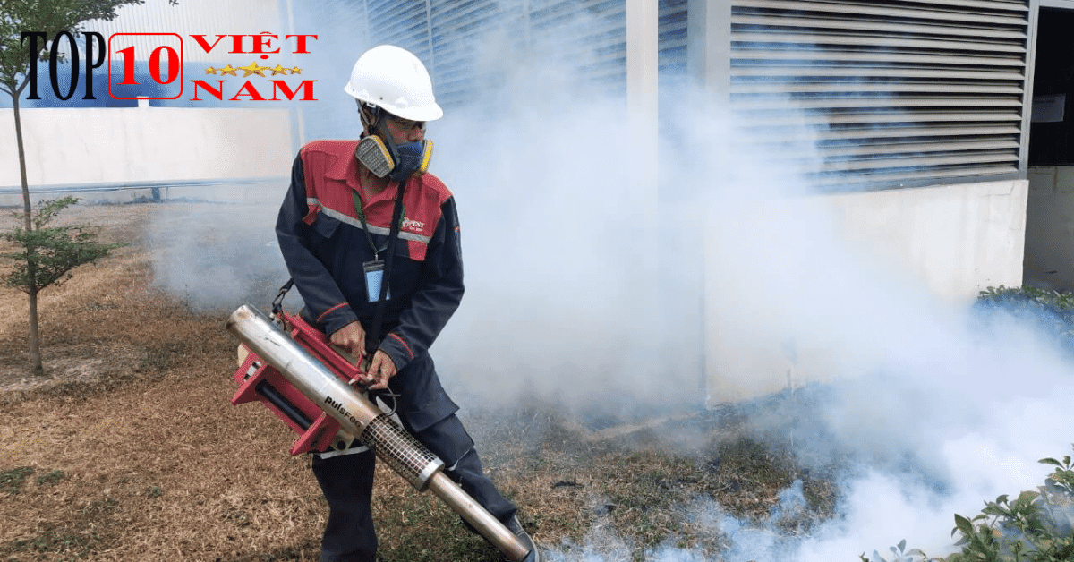 Công ty TNHH Diệt Mối Và Côn Trùng Đại Toàn Việt