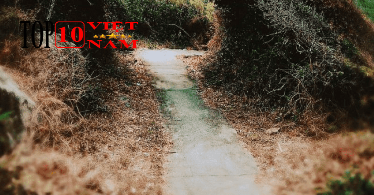 Đảo Bích Đầm Điểm Cắm Trại Tại Nha Trang