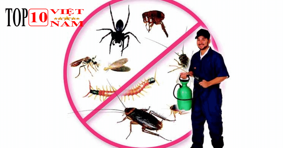 Công ty TNHH Thiết Bị Đất Việt Xanh