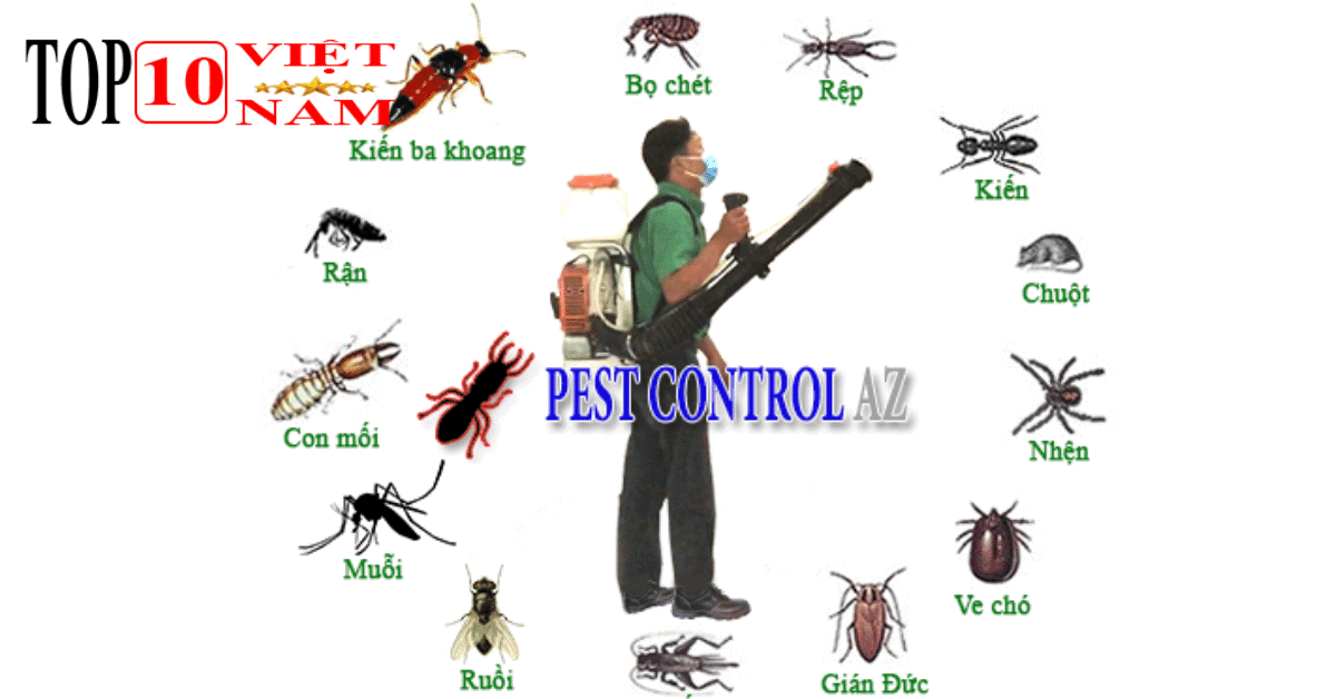 Công ty Diệt Côn Trùng Anh Thư