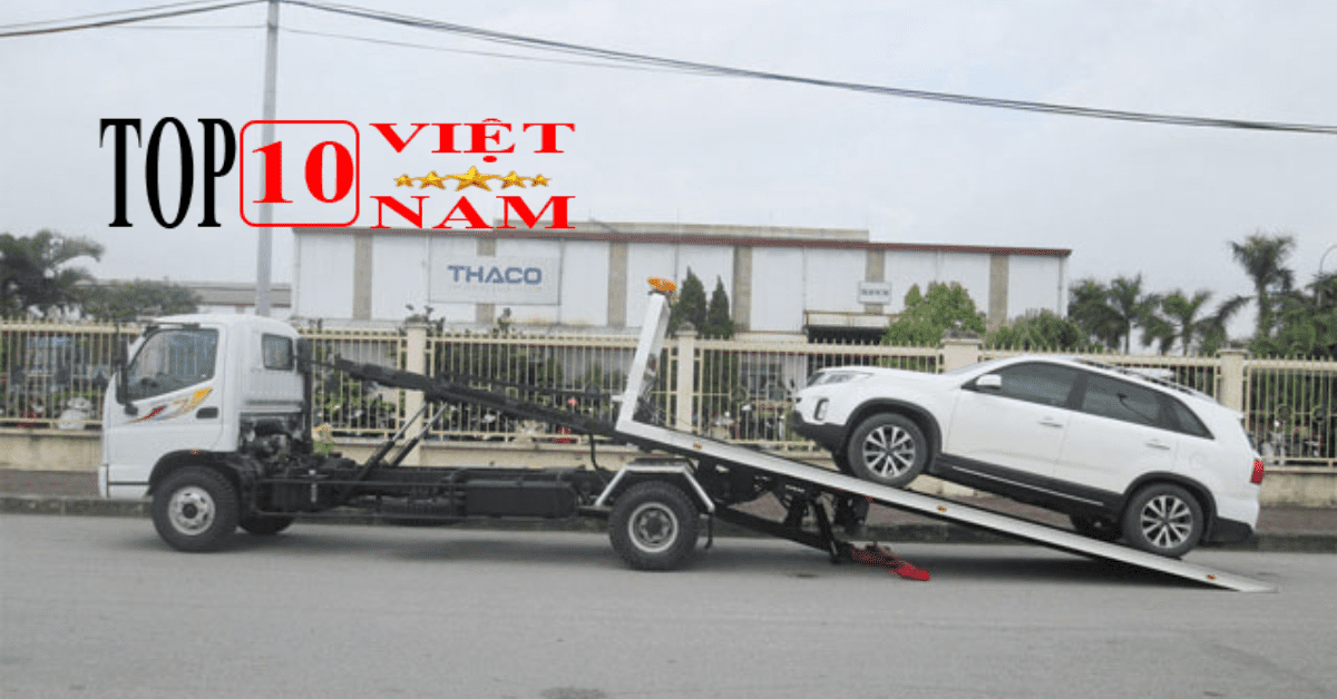 Công ty Dương Trung