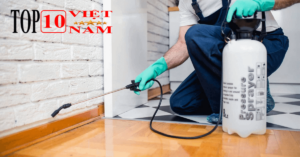 Công Ty Diệt Mối Uy Tín Tại Quận 3