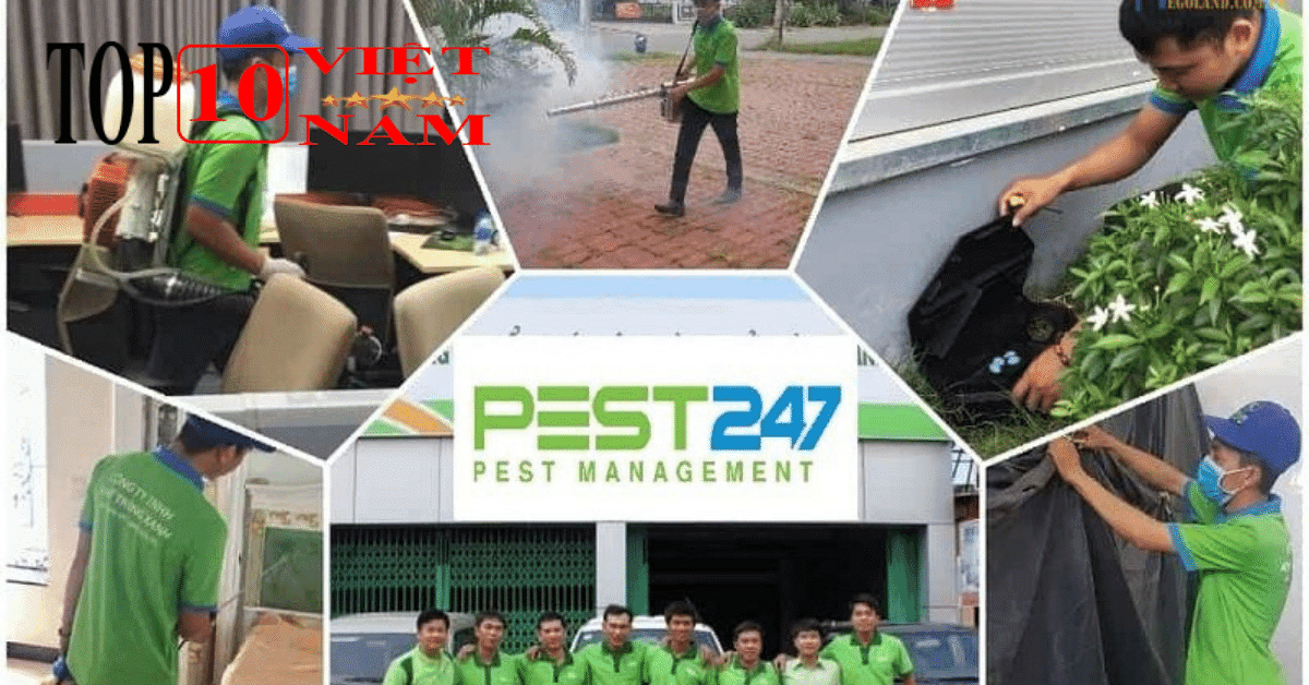 Công ty Diệt Mối PEST247 - GFC