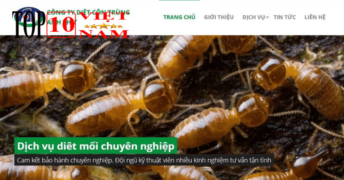 Công ty Diệt Mối Anh Thư