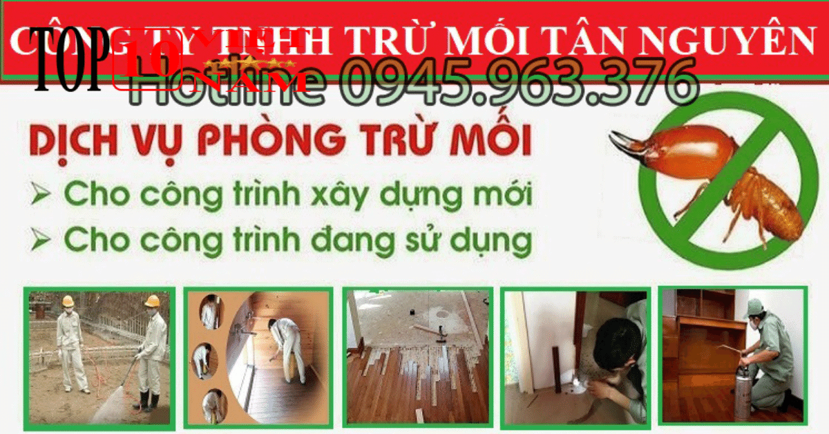 Diệt Mối Tân Nguyên