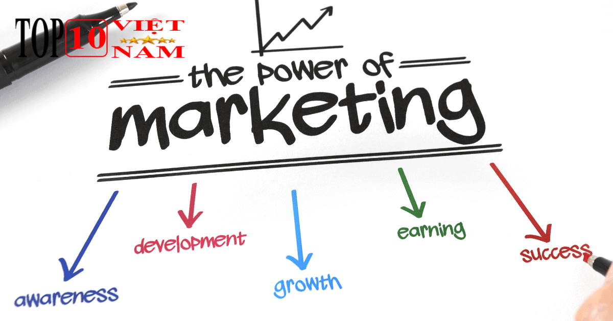Những Lý Do Bạn Nên Chọn Dịch Vụ Marketing Online Nha Trang