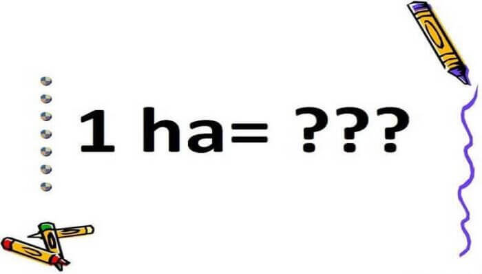 1 ha bằng bao nhiêu km2