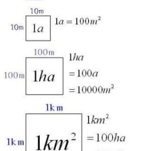 1 hecta bằng bao nhiêu mét vuông