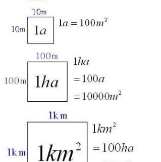 1 hecta bằng bao nhiêu mét vuông