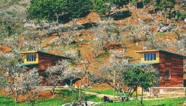 mẫu nhà homestay đẹp