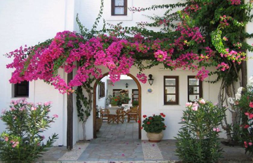 nhà hướng Tây Nam có mát không